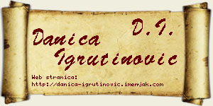 Danica Igrutinović vizit kartica